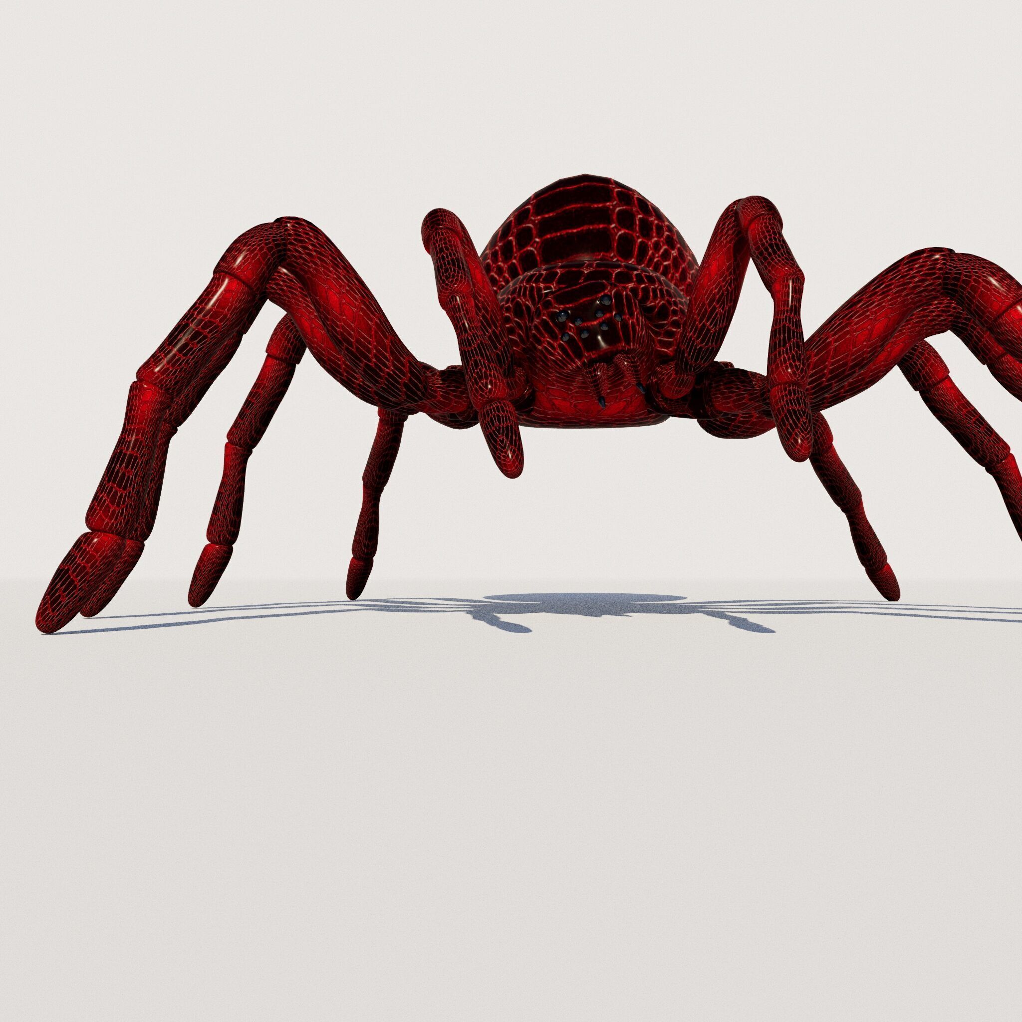 imazing spider Low-poly 3D model_3