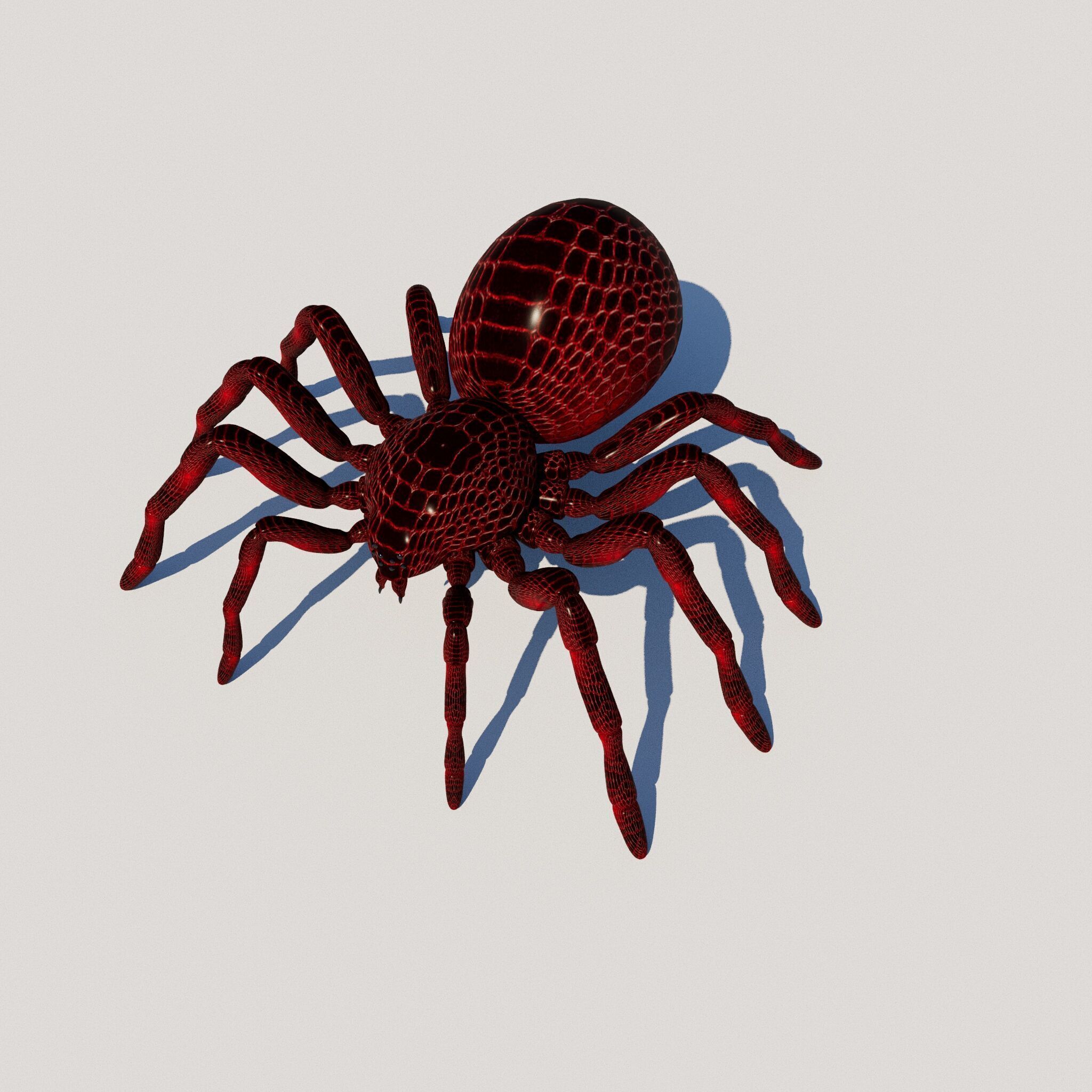 imazing spider Low-poly 3D model_2
