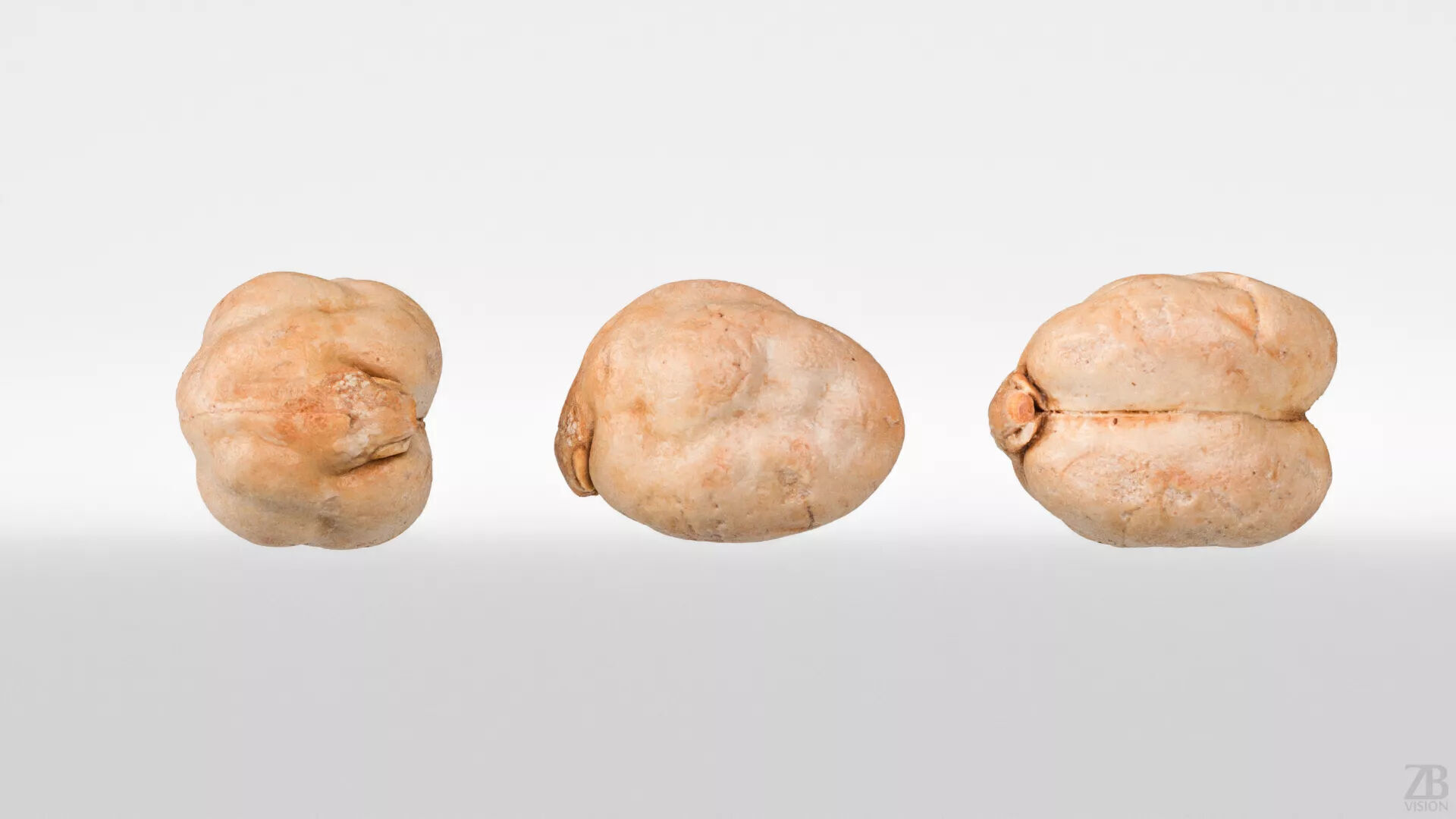 Chickpea 3D model_4