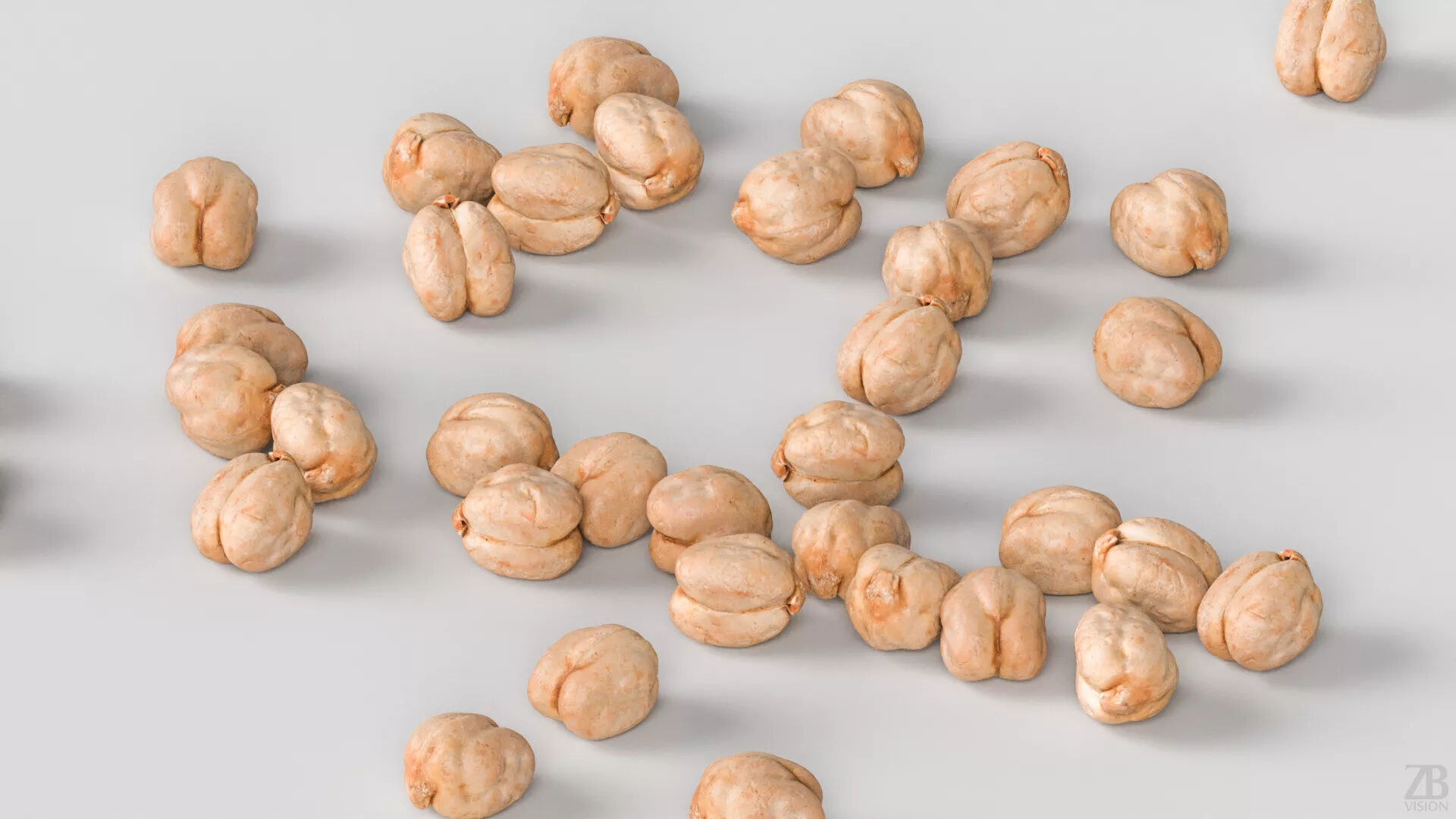 Chickpea 3D model_2