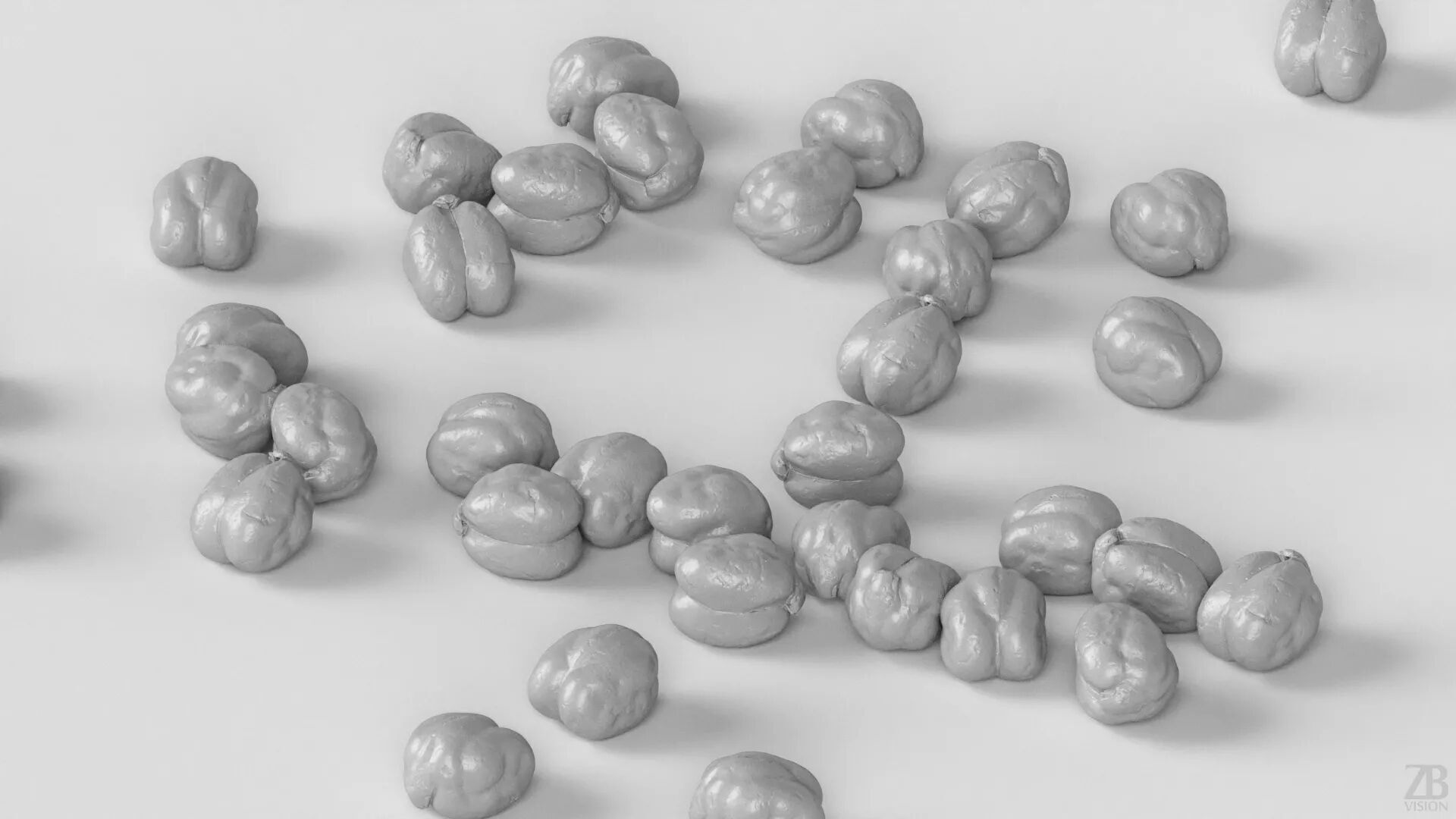 Chickpea 3D model_3