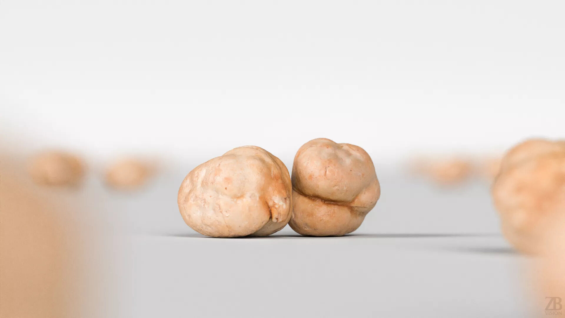 Chickpea 3D model_1