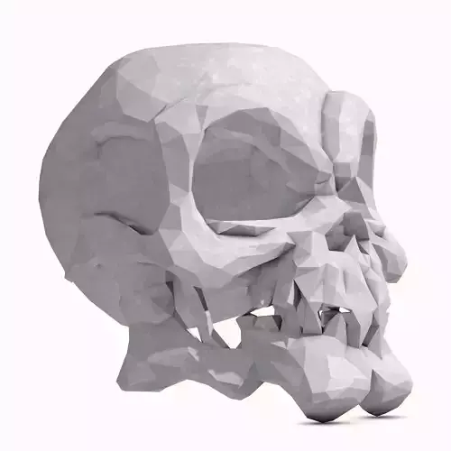 Stylized Skull Low Poly