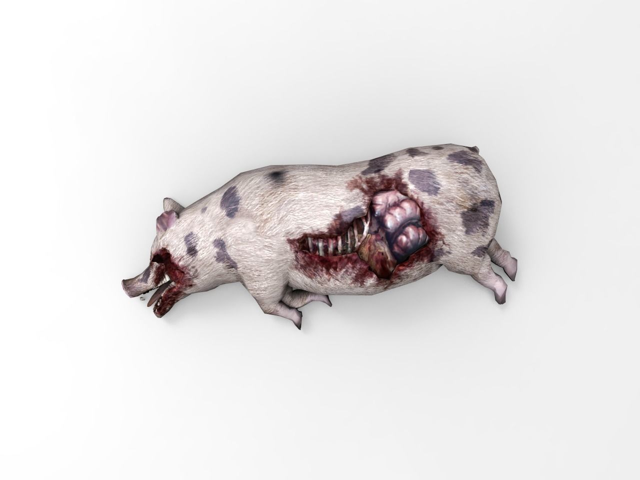 Pig Cadaver Low-poly 3D model_1