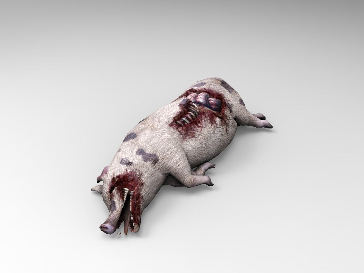 Pig Cadaver Low-poly 3D model_2
