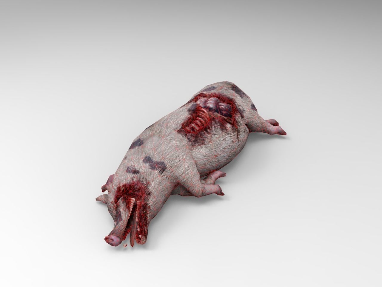 Pig Cadaver Low-poly 3D model_3