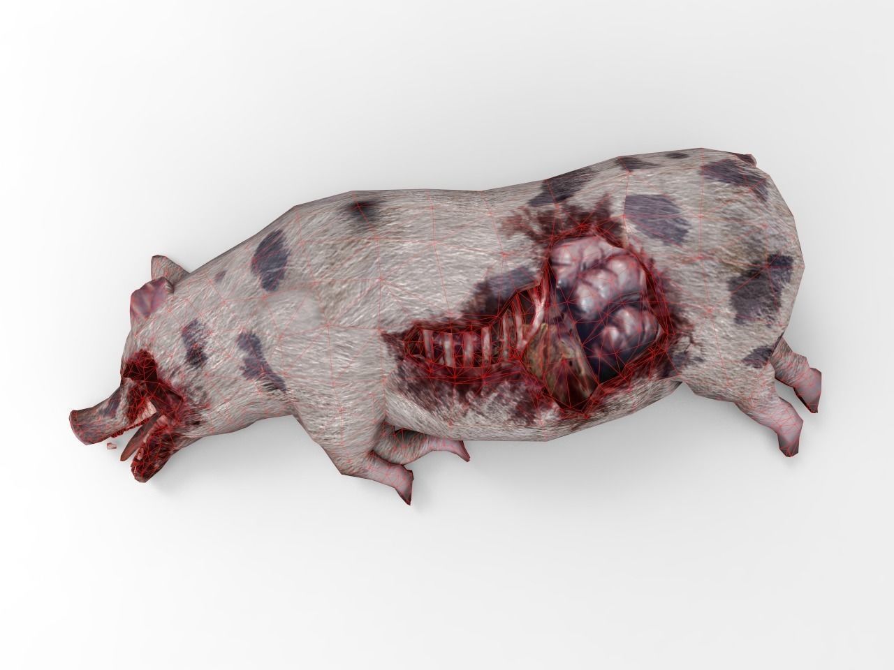 Pig Cadaver Low-poly 3D model_0