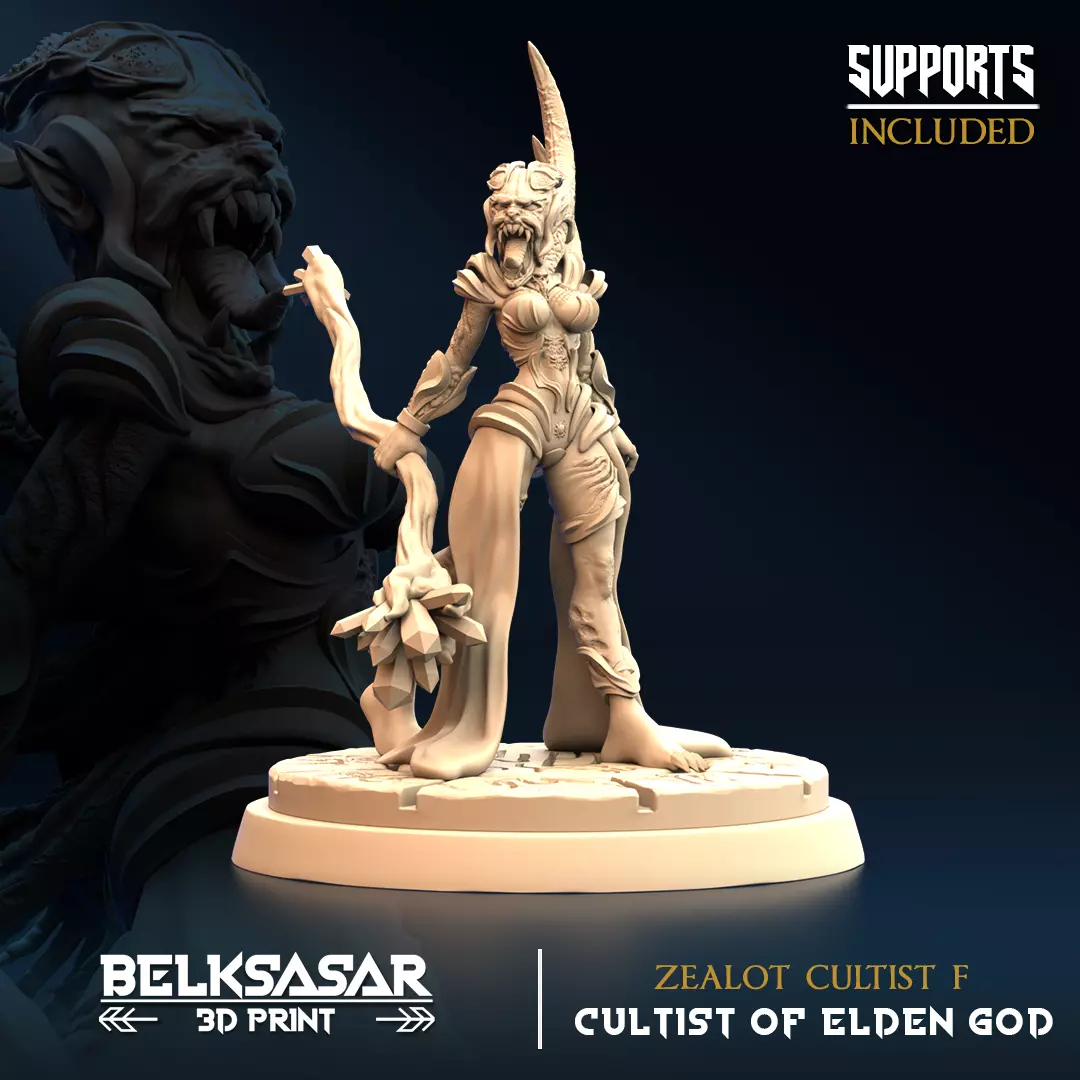 Zealot Cultist F 3D print model
