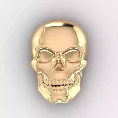 Skull 3