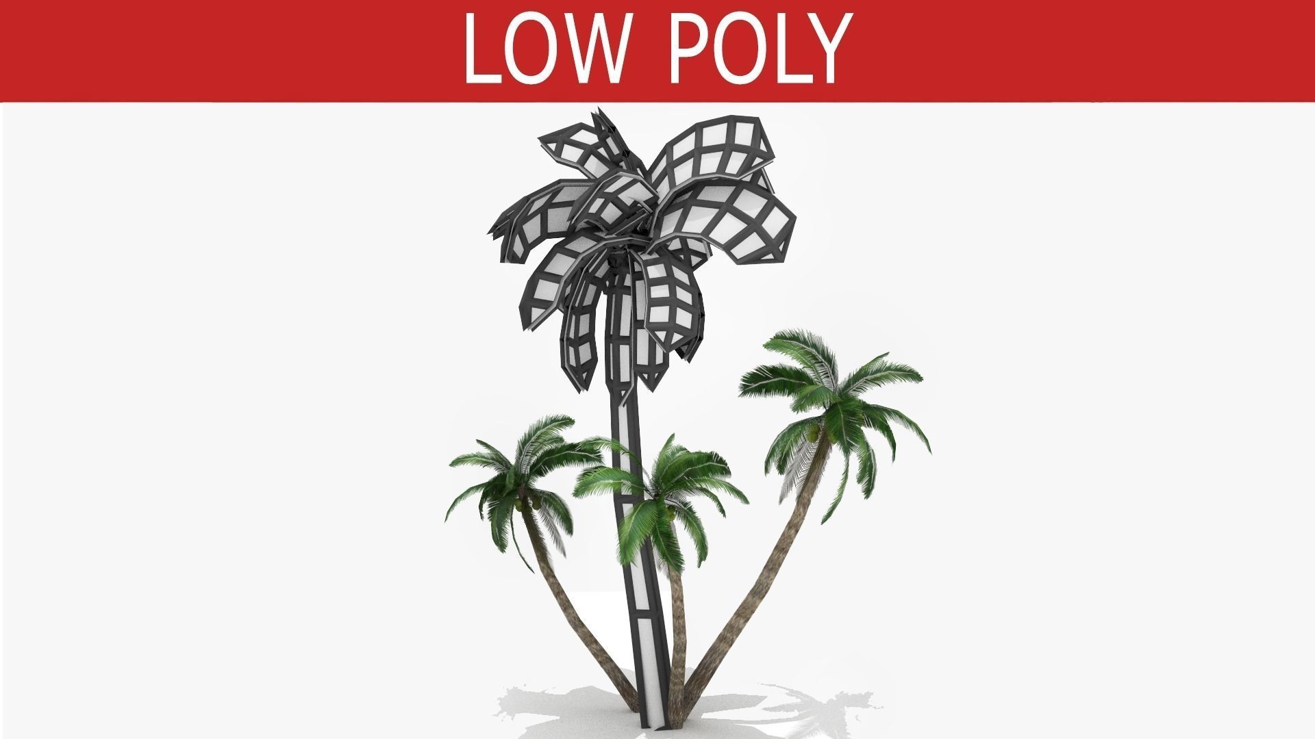 Palm tree Low-poly 3D model_3