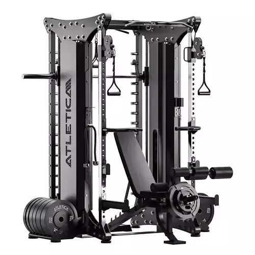 Dual Multipresse 3D model