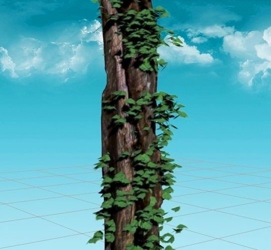 Rotten Pine 3D Model Low-poly 3D model