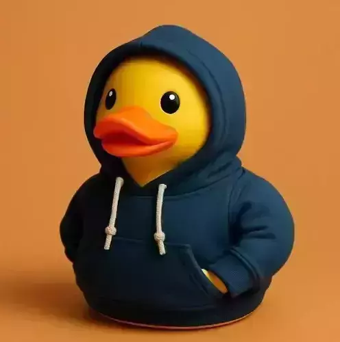 Duck in hoodie 