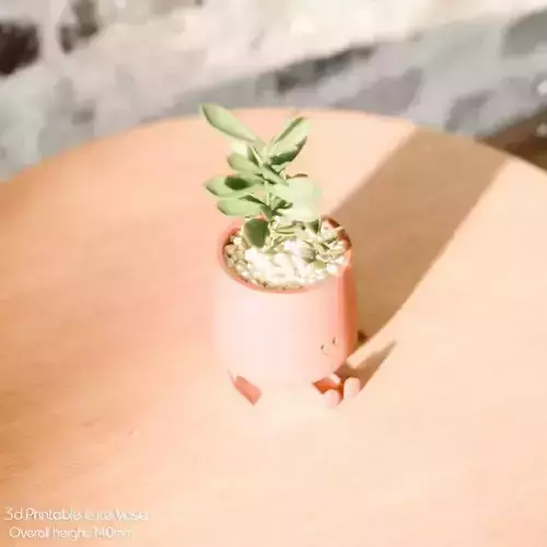 3D Printable Cute Vase