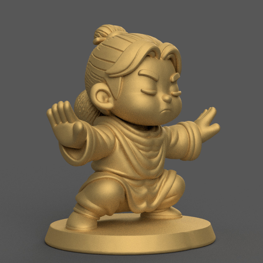 Mini Tai Chi Master 3D Model 3D print model_7