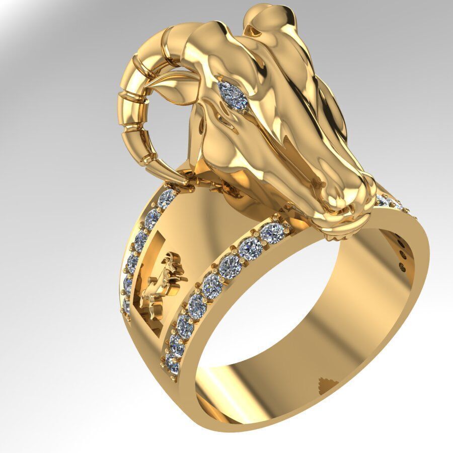 Ring COAT 3D print model_1