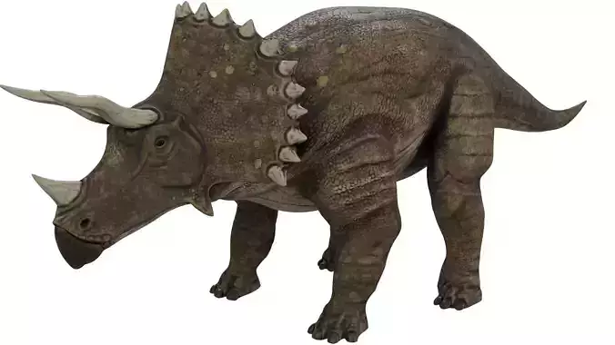 Triceratops