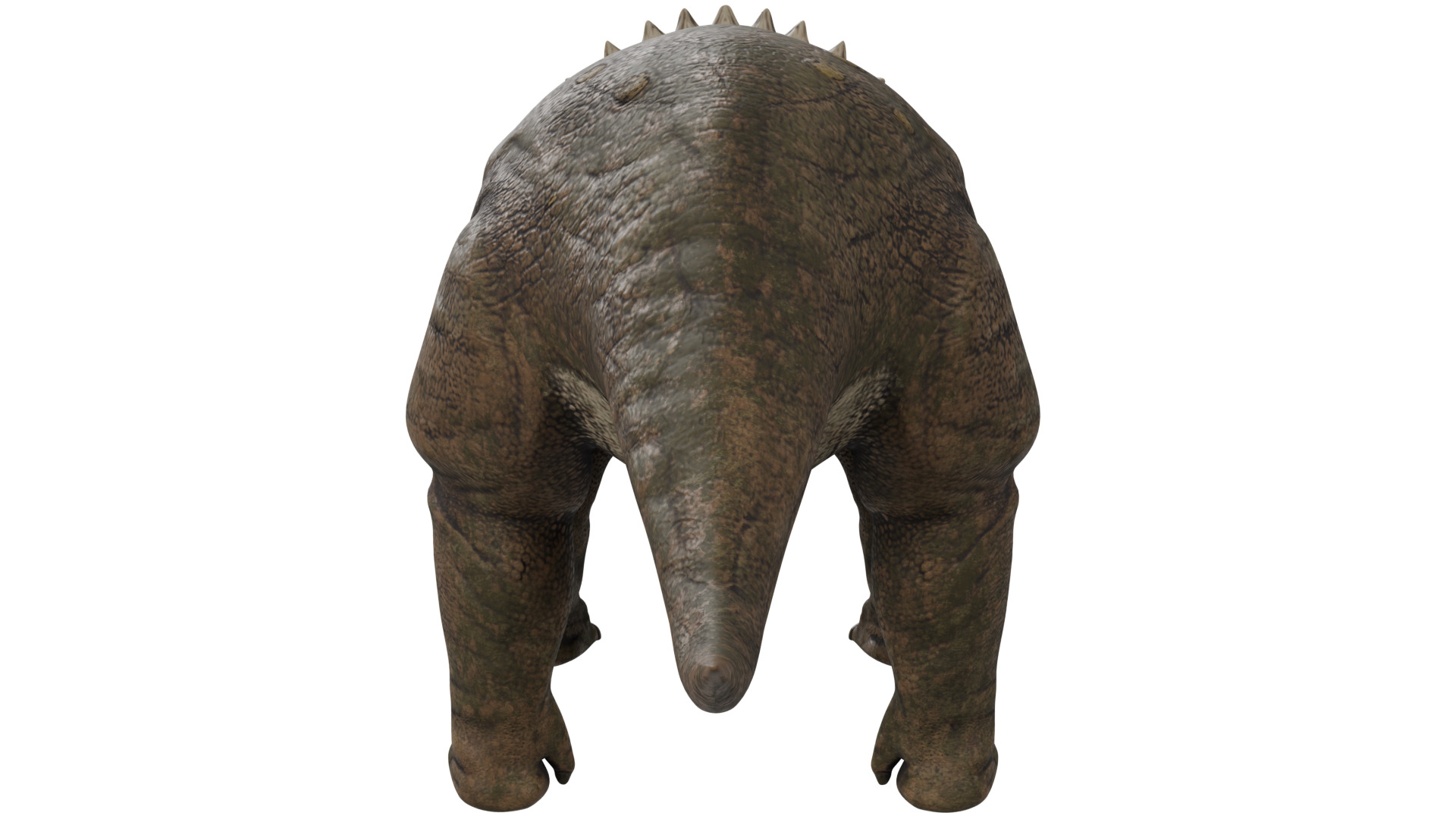 Triceratops 3D model_3