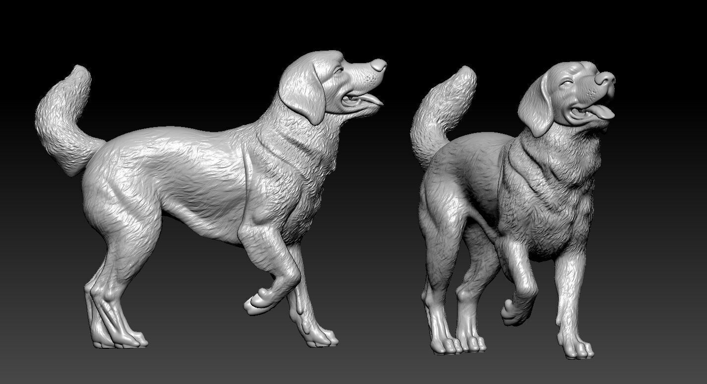 Golden Retriever Dog Positions Urban vibes 3D print model_2