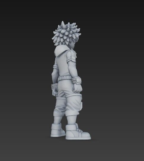 Hero Trainee Highly Detailed Anime Character 3D Print Model 3D model_1