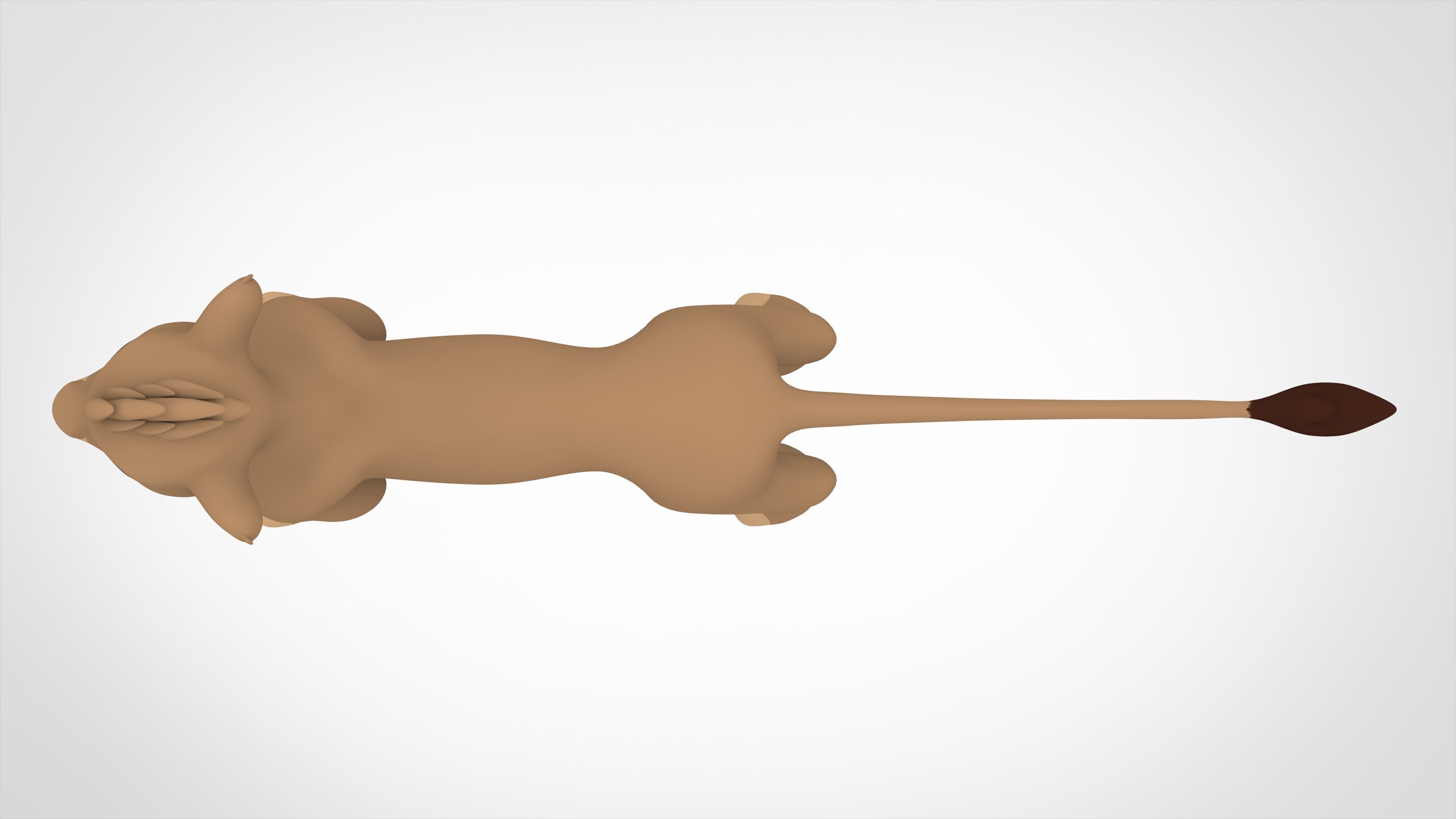 Fast Kasi 3D model_4