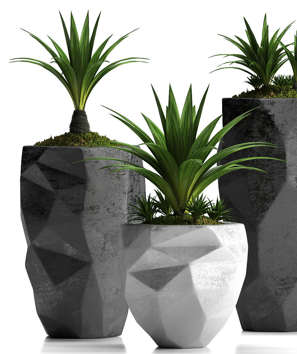 plants set 33 3D model_4