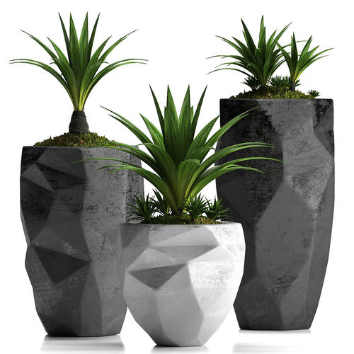 plants set 33 3D model