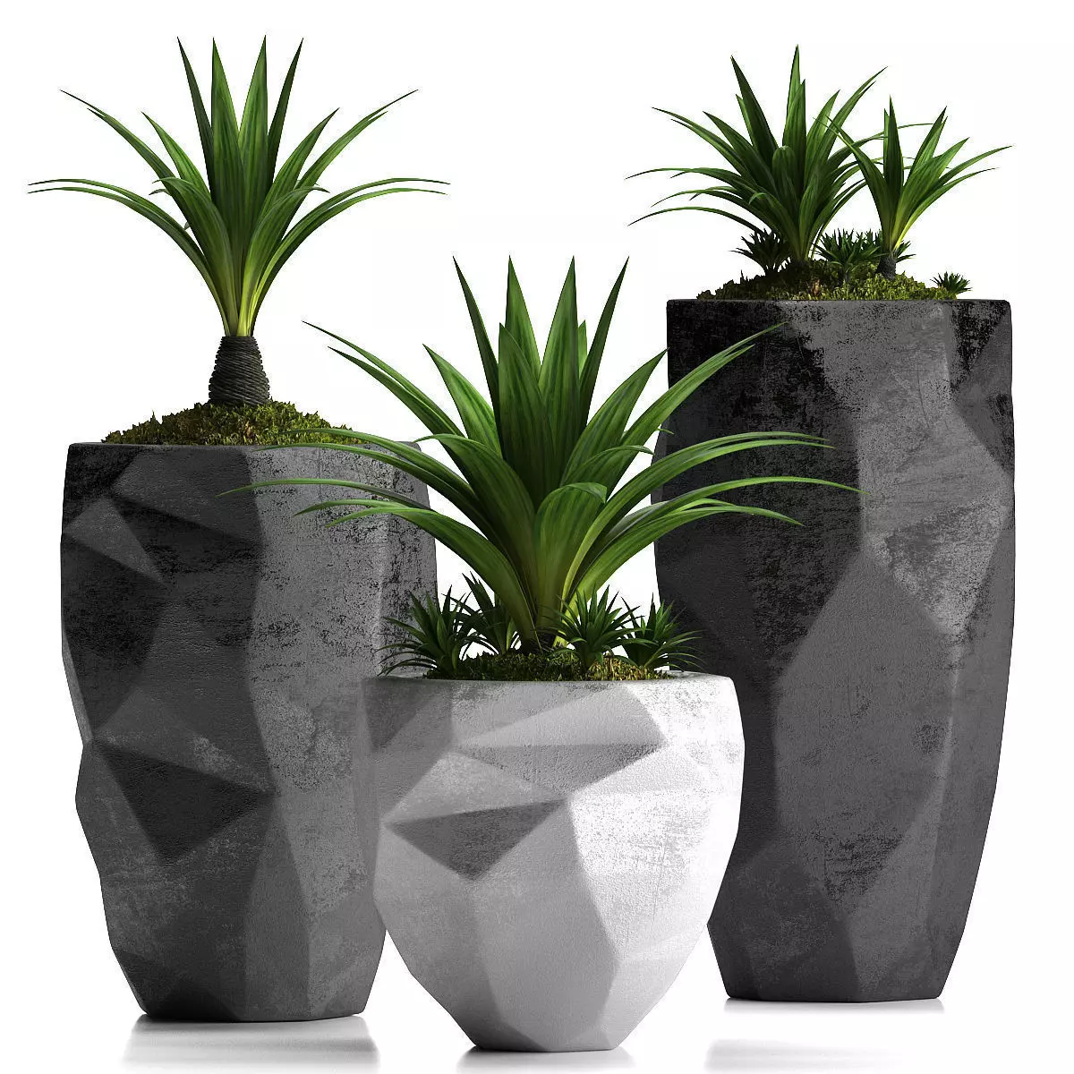 plants set 33 3D model_0