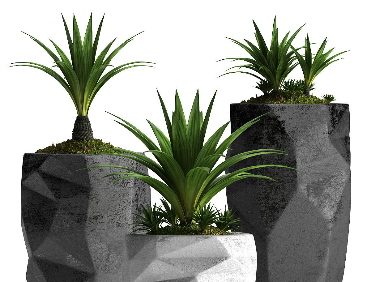 plants set 33 3D model_2