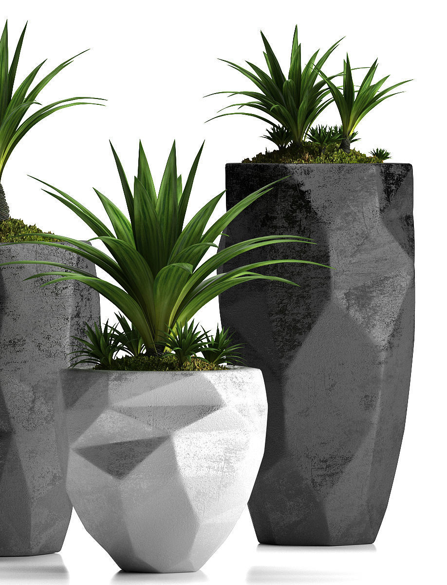 plants set 33 3D model_1