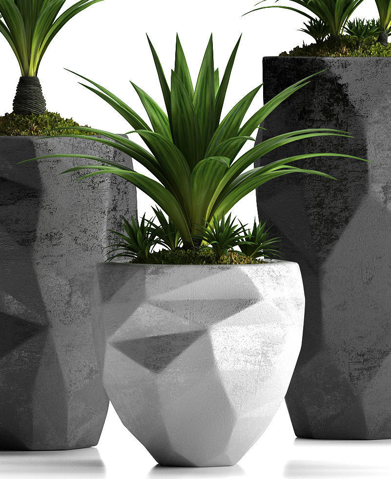 plants set 33 3D model_3
