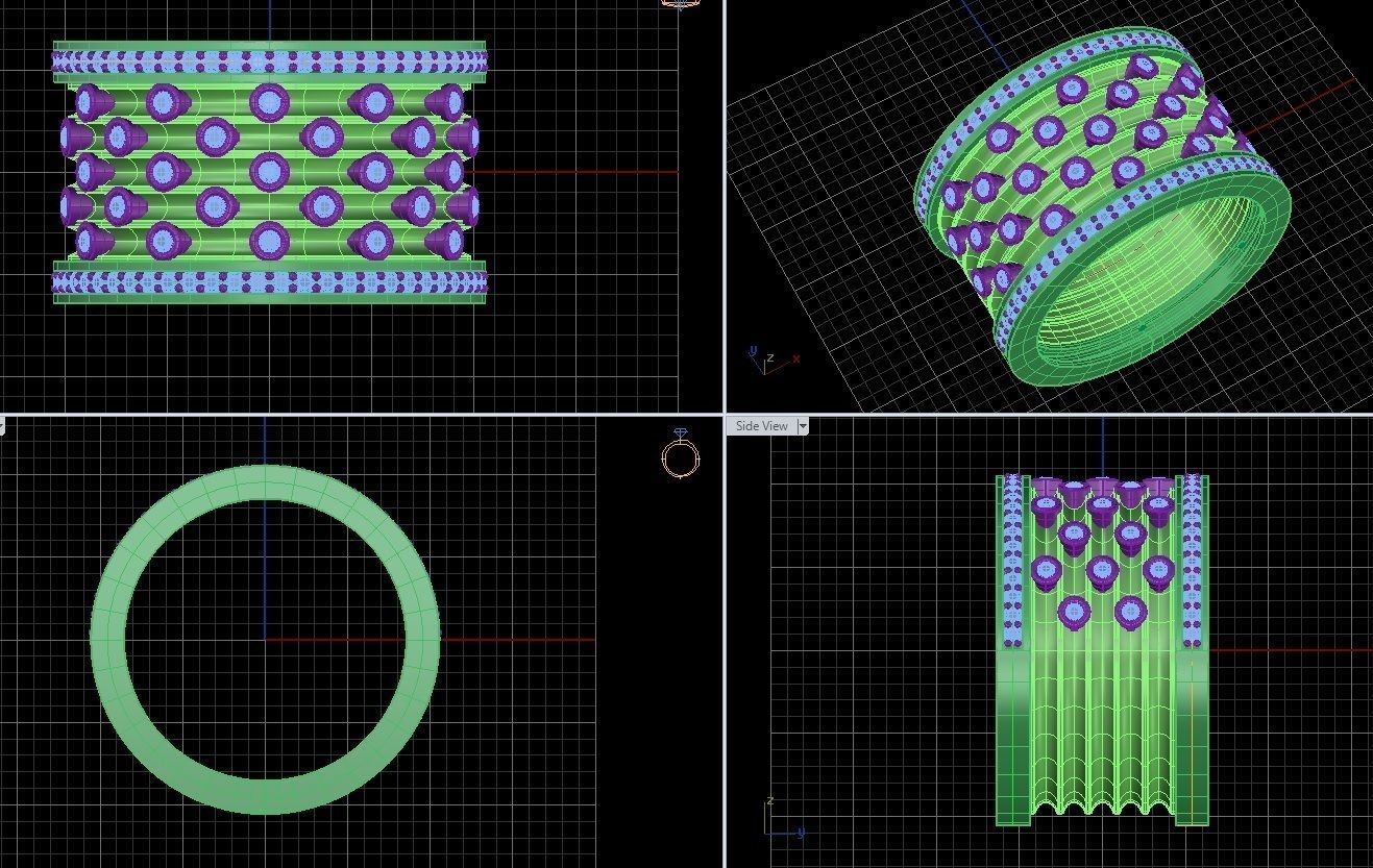 RING FSC 01 3D print model_5