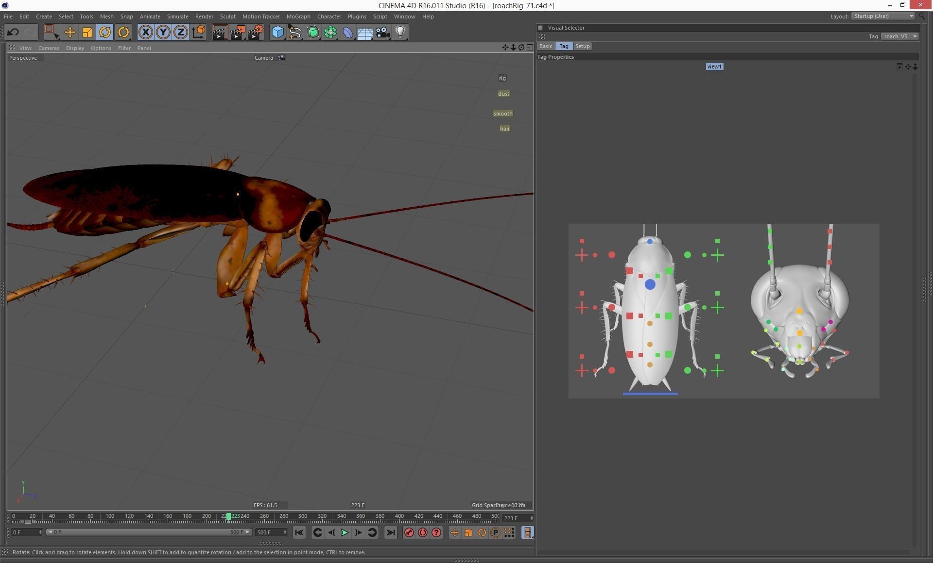 Cockroach rigged and animated for Cinema 4d 3D model_12