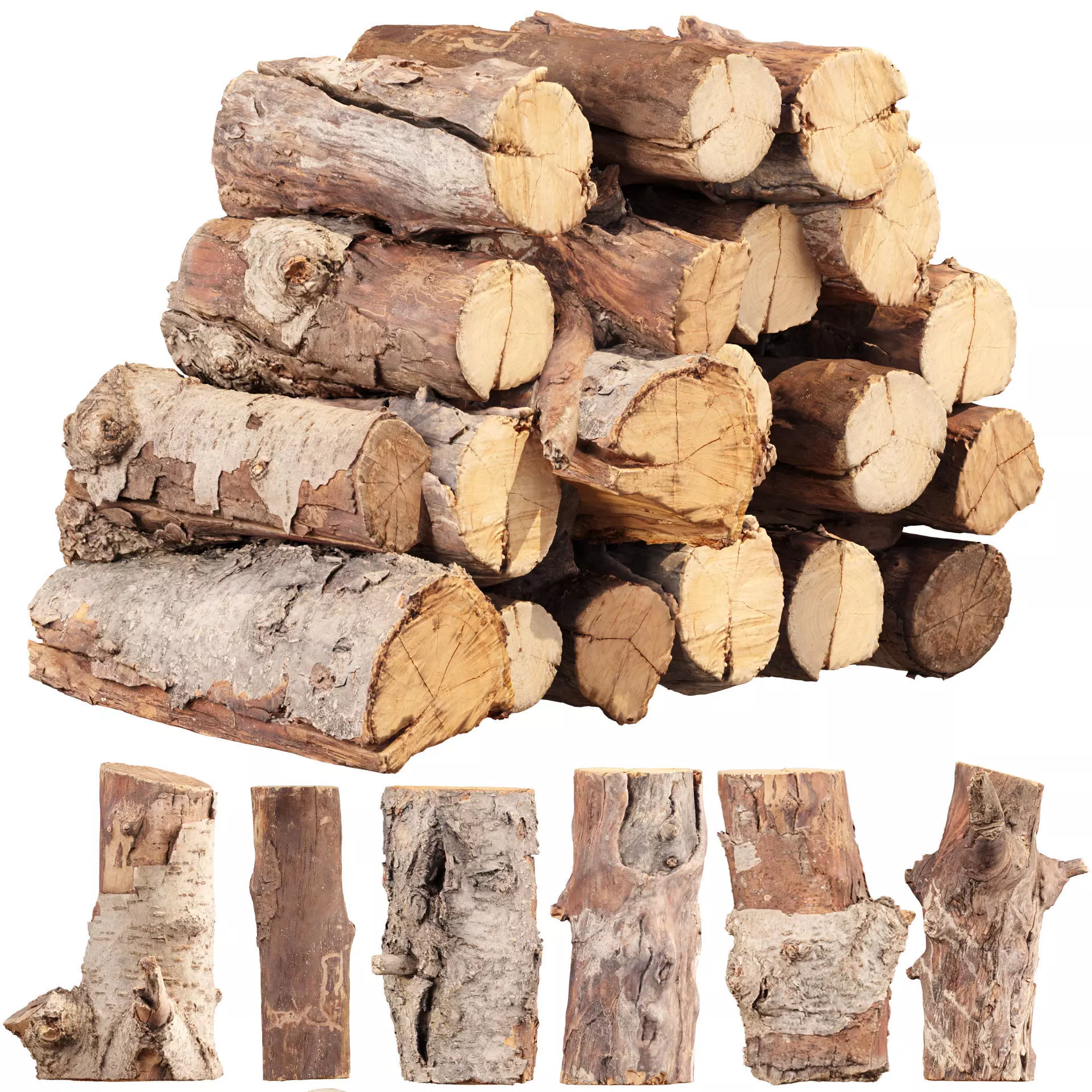 3D Scanned Tree Log Collection Vol 03 Low-poly 3D model_0