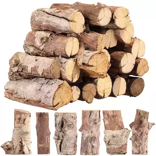 3D Scanned Tree Log Collection Vol 03 Low-poly 3D model