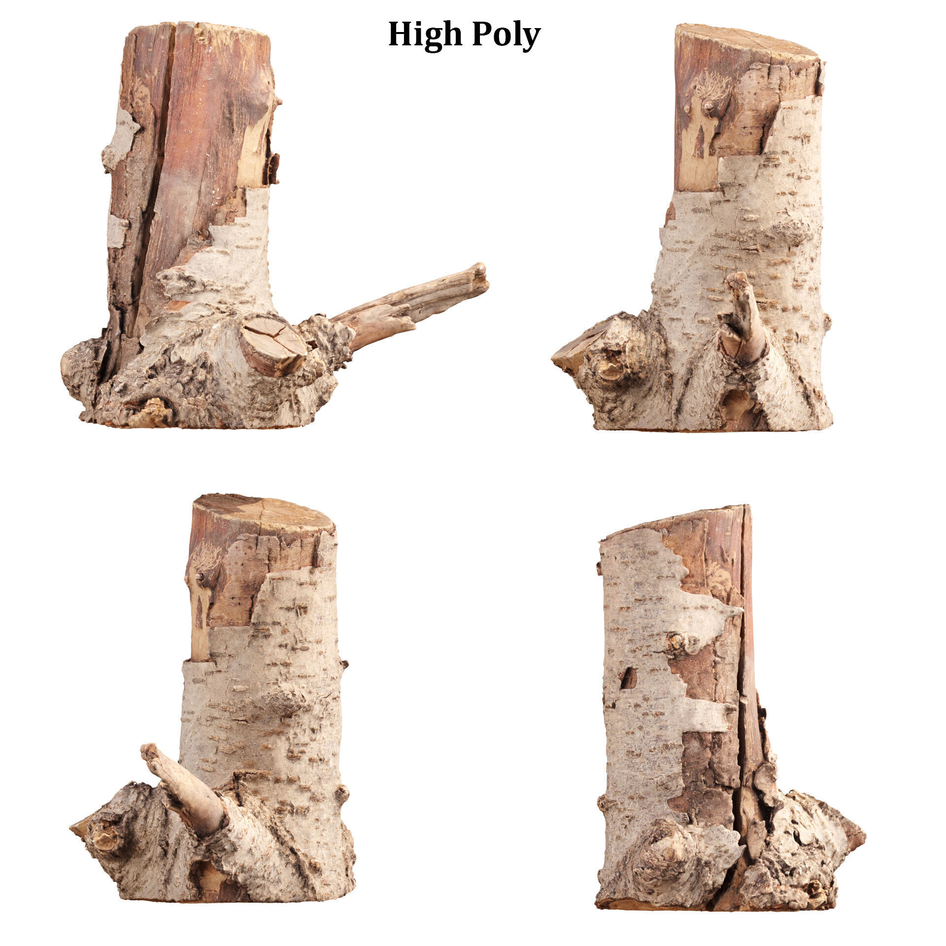 3D Scanned Tree Log Collection Vol 03 Low-poly 3D model_5