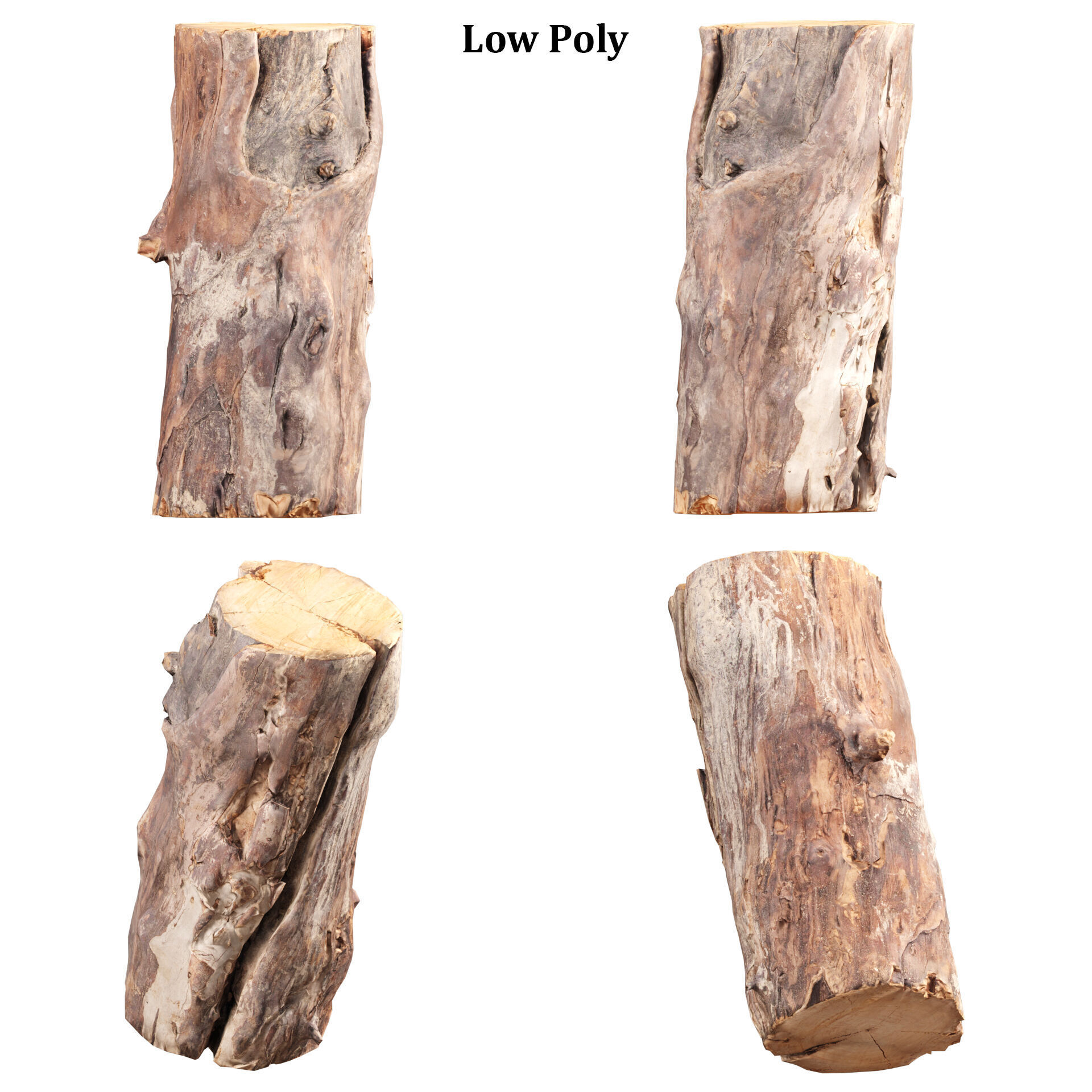 3D Scanned Tree Log Collection Vol 03 Low-poly 3D model_12