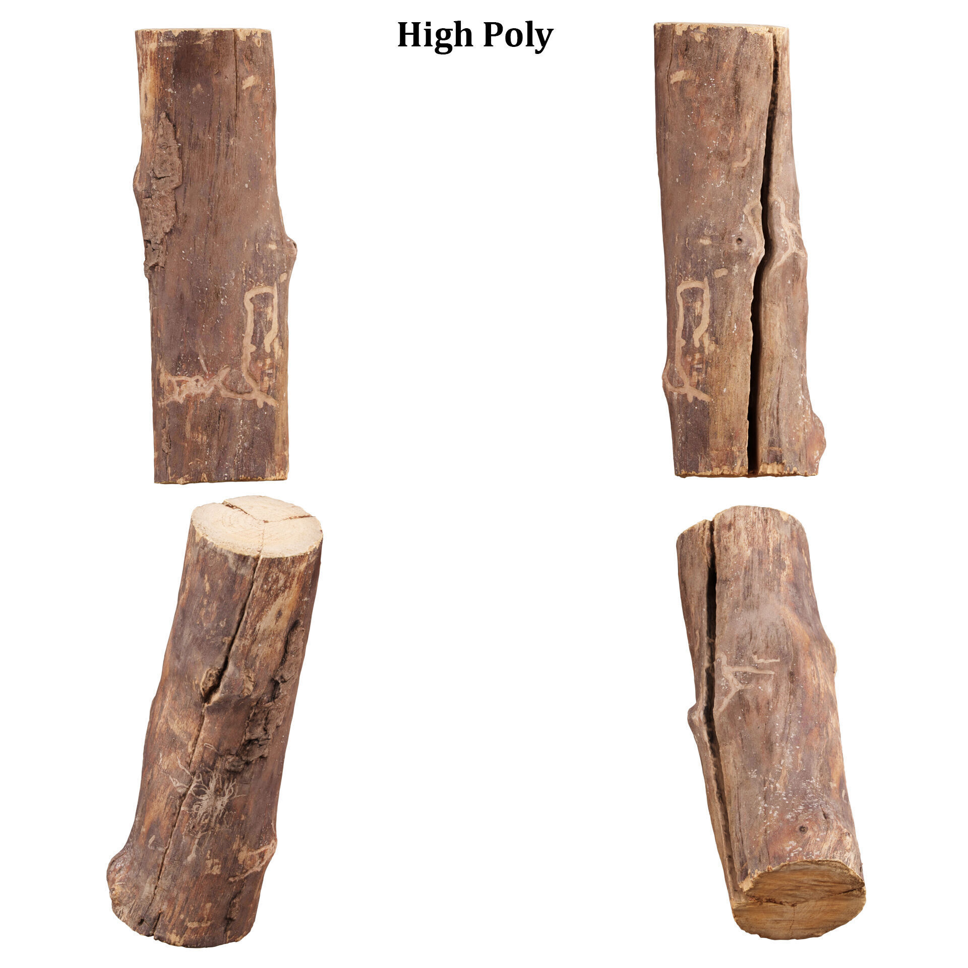 3D Scanned Tree Log Collection Vol 03 Low-poly 3D model_7