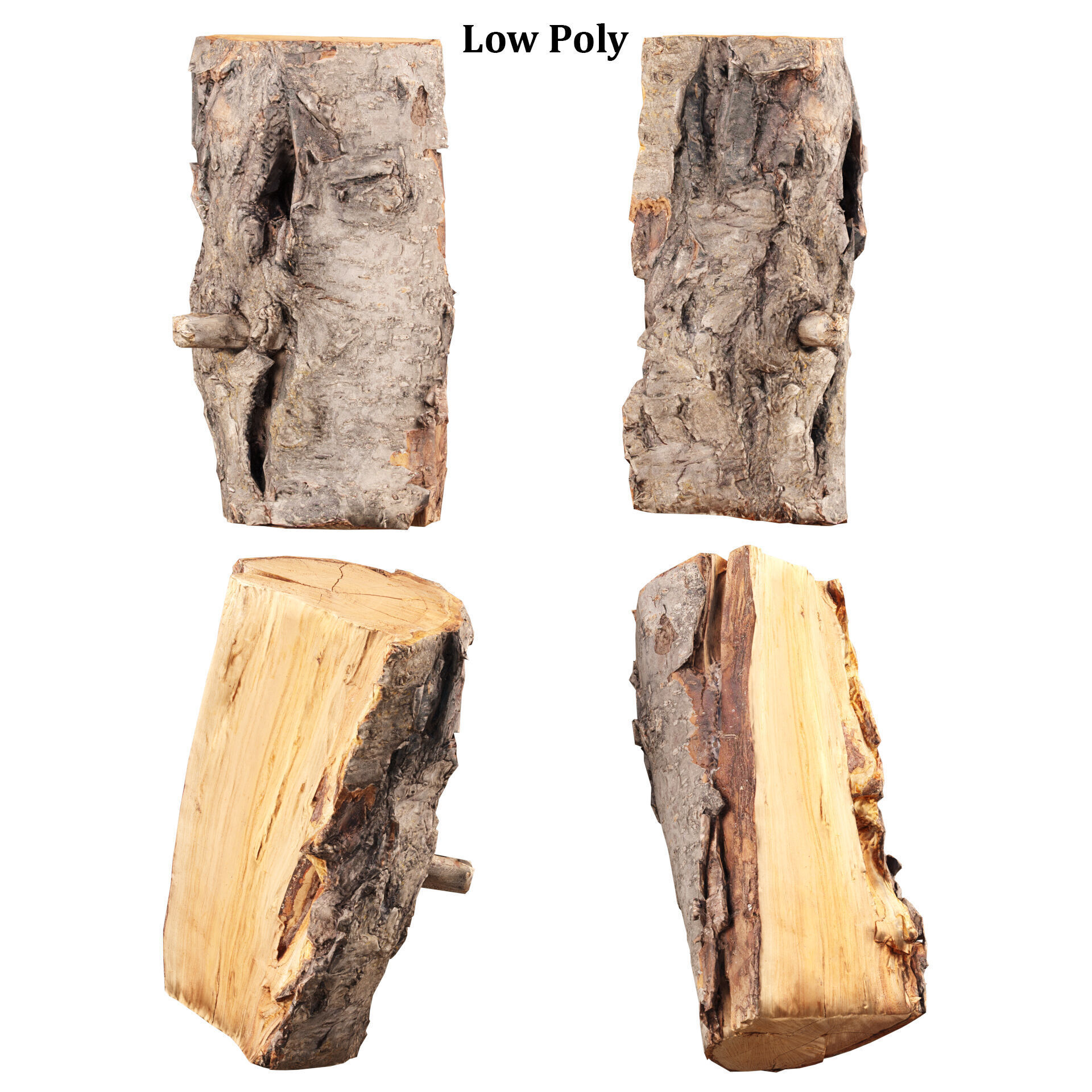 3D Scanned Tree Log Collection Vol 03 Low-poly 3D model_10