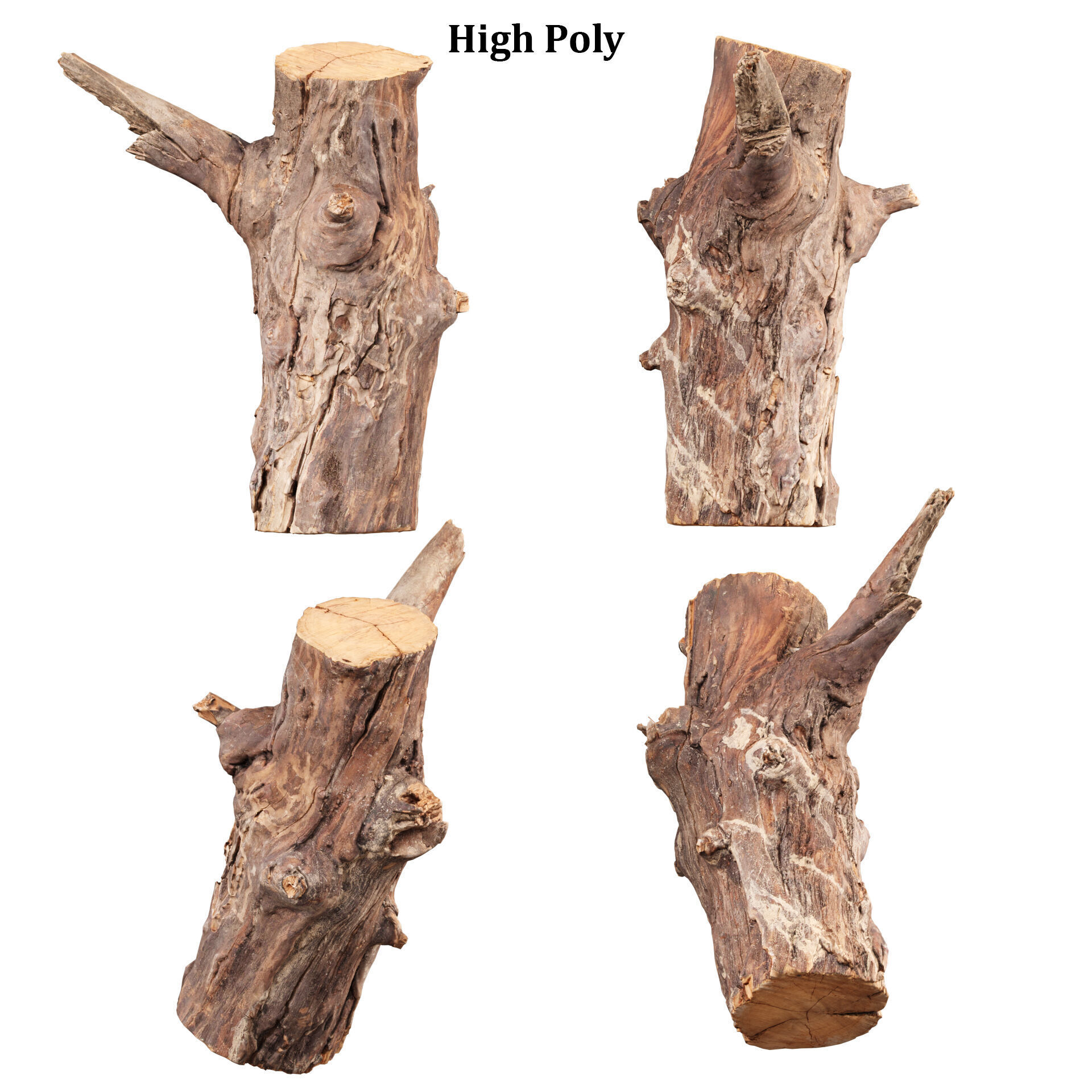 3D Scanned Tree Log Collection Vol 03 Low-poly 3D model_1