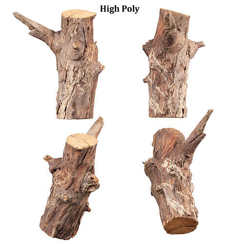 3D Scanned Tree Log Collection Vol 03 Low-poly 3D model 2