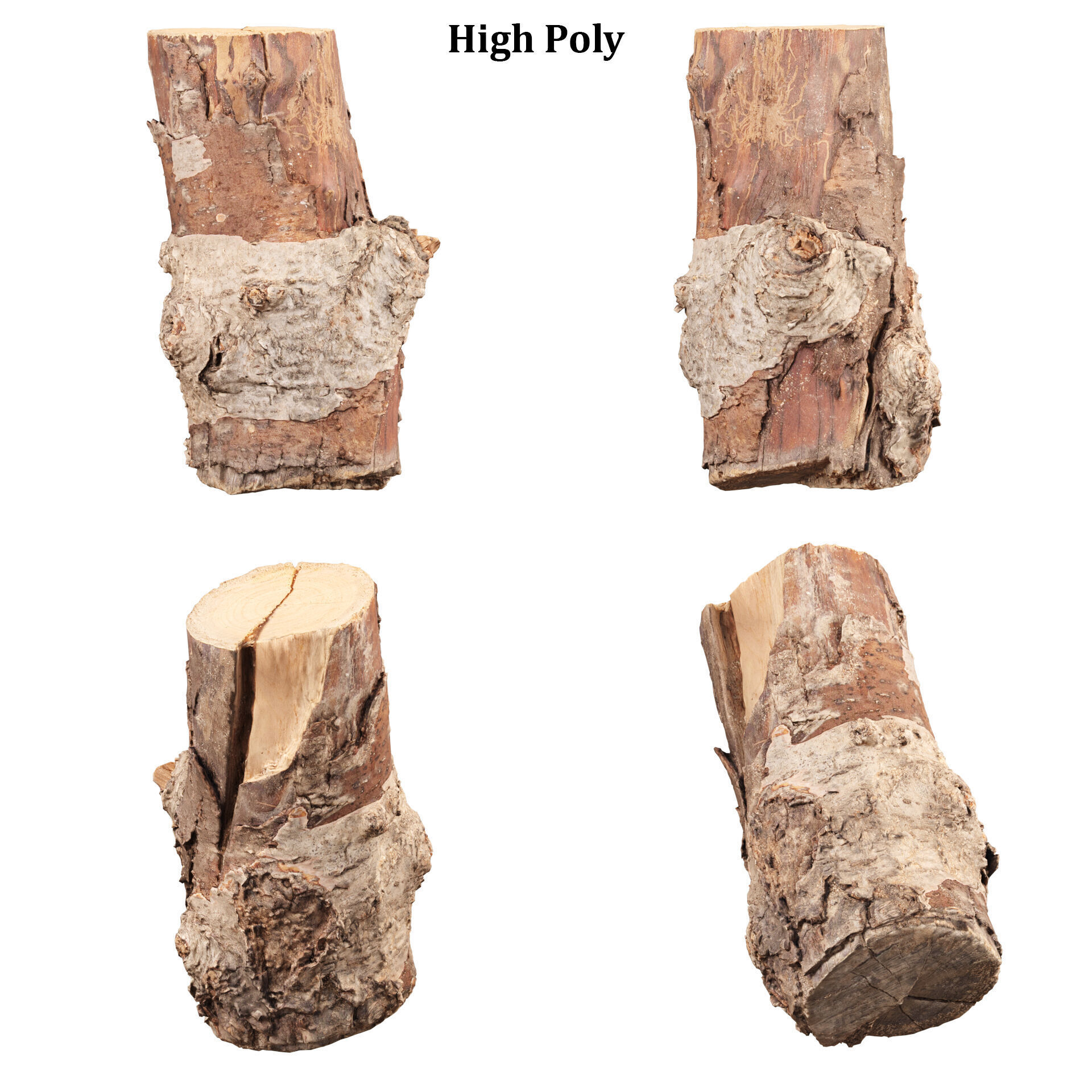 3D Scanned Tree Log Collection Vol 03 Low-poly 3D model_3
