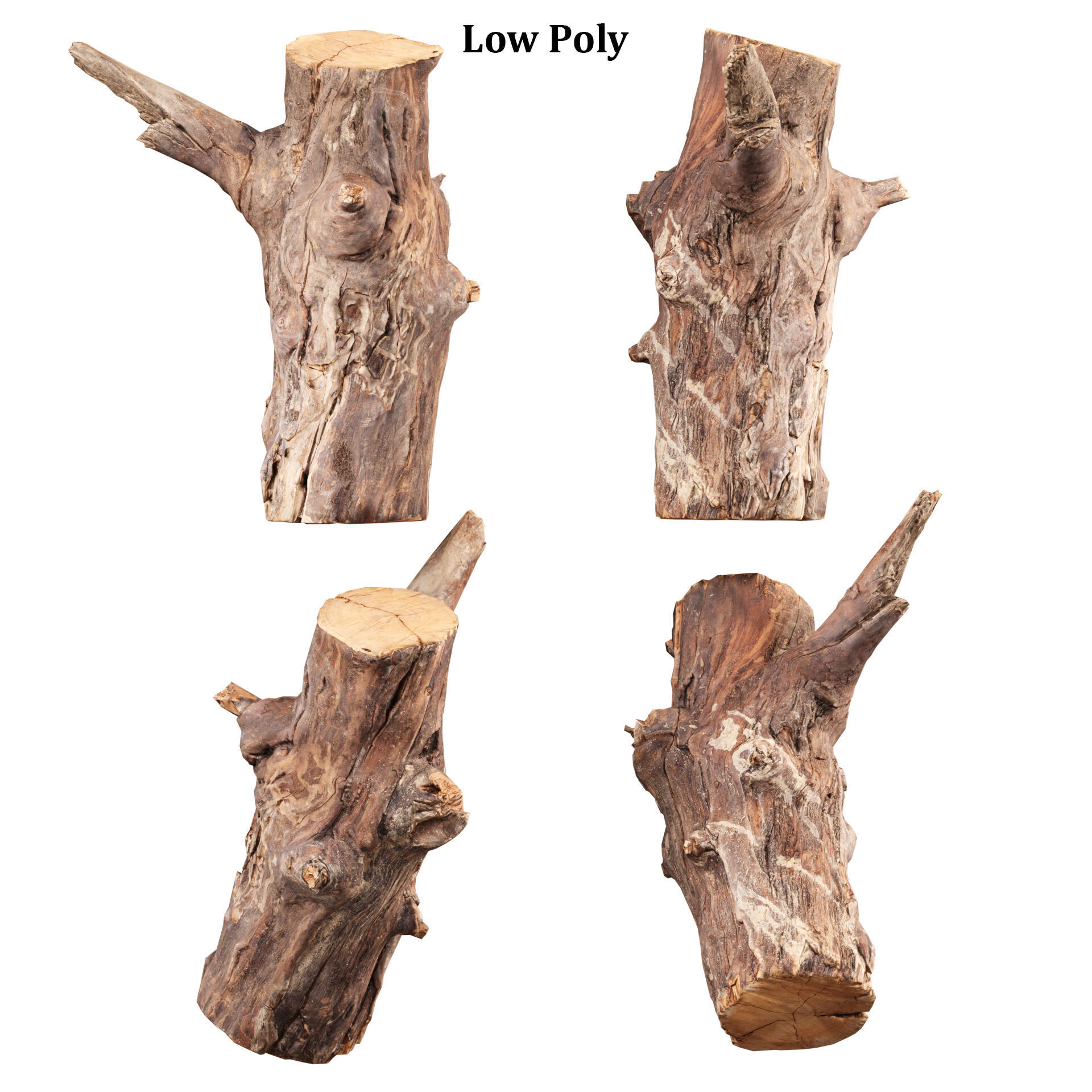 3D Scanned Tree Log Collection Vol 03 Low-poly 3D model_2