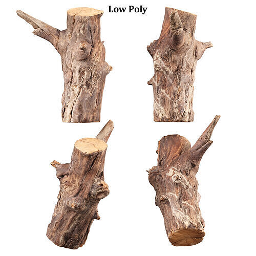 3D Scanned Tree Log Collection Vol 03 Low-poly 3D model 3