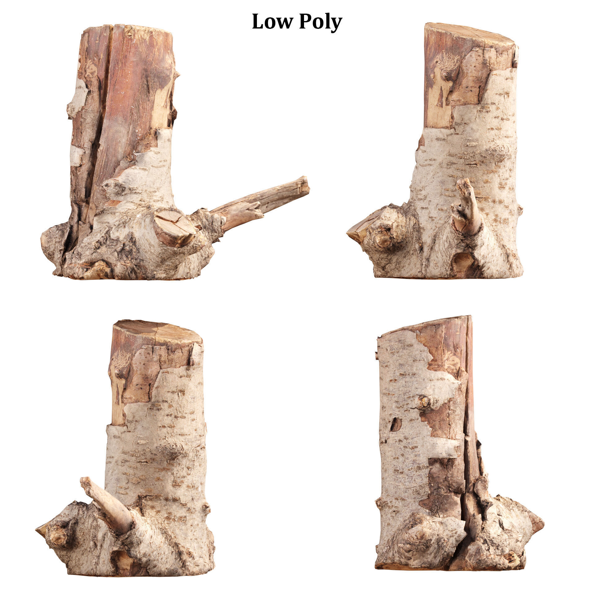 3D Scanned Tree Log Collection Vol 03 Low-poly 3D model_6