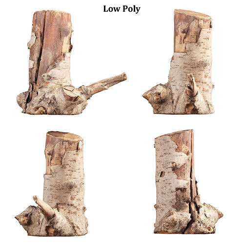 3D Scanned Tree Log Collection Vol 03 Low-poly 3D model 7