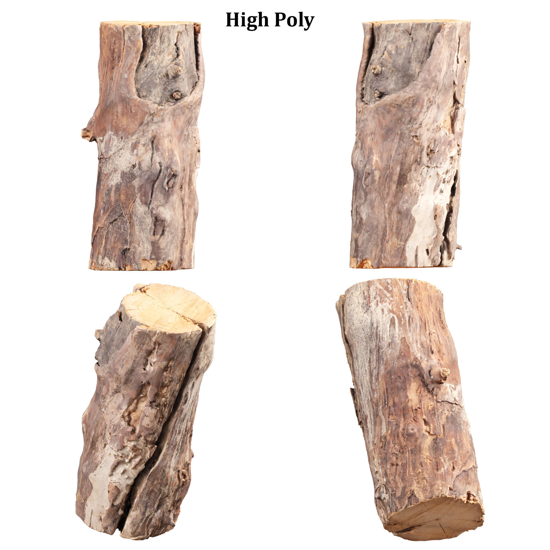 3D Scanned Tree Log Collection Vol 03 Low-poly 3D model_11