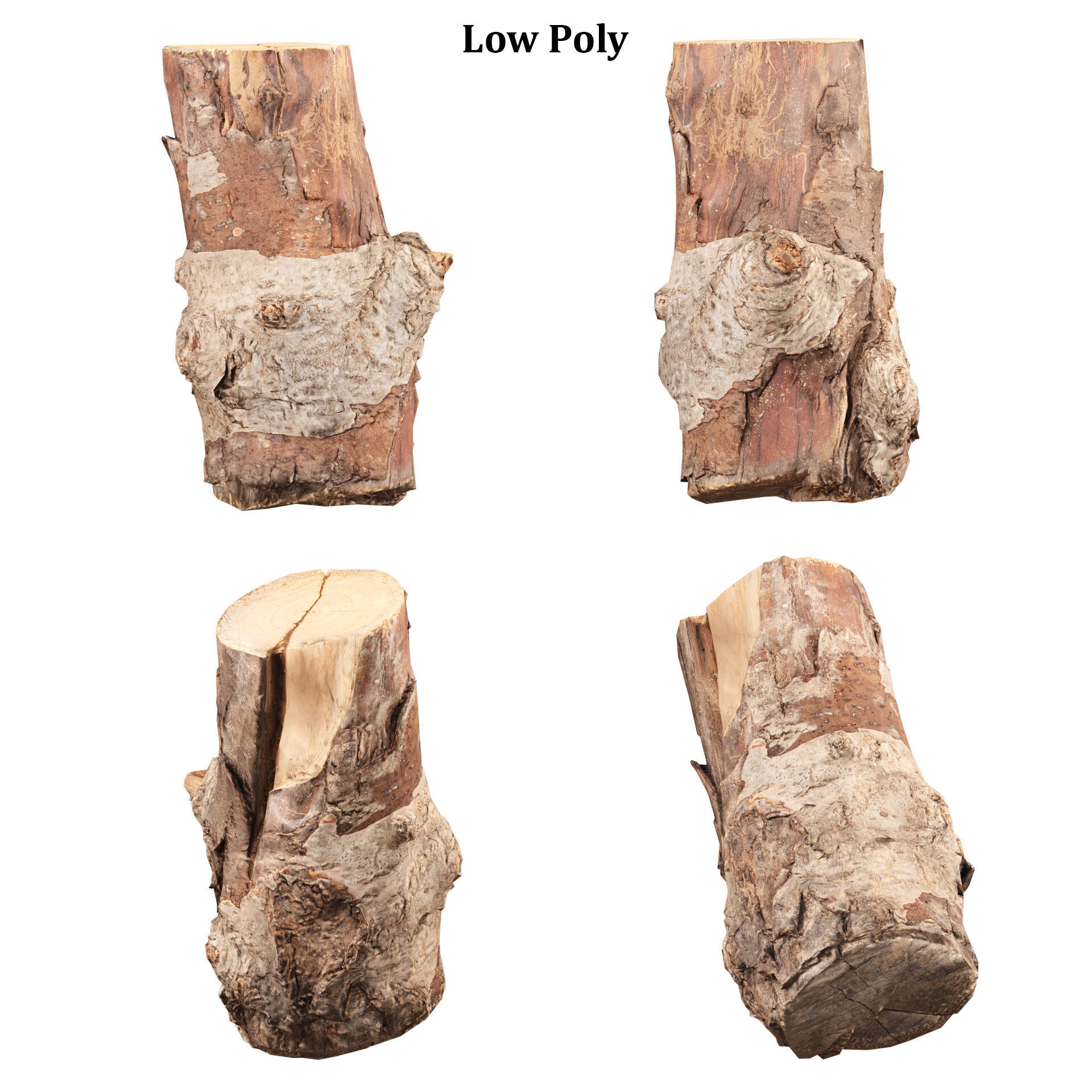 3D Scanned Tree Log Collection Vol 03 Low-poly 3D model_4