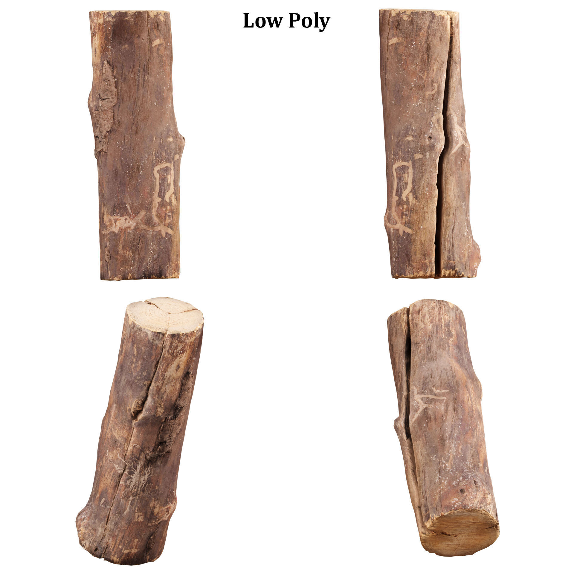 3D Scanned Tree Log Collection Vol 03 Low-poly 3D model_8