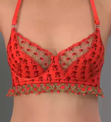 Red Bra